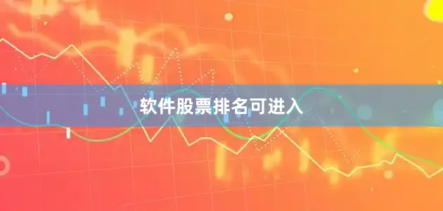 软件股票排名可进入