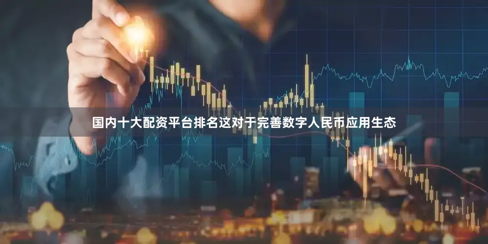 国内十大配资平台排名这对于完善数字人民币应用生态