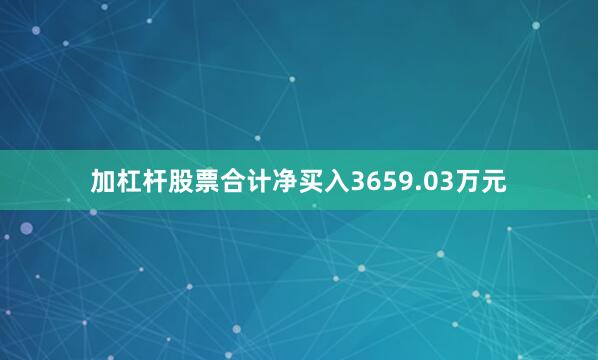 加杠杆股票合计净买入3659.03万元