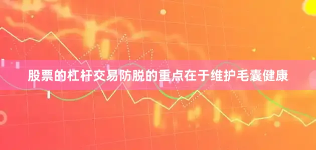 股票的杠杆交易防脱的重点在于维护毛囊健康