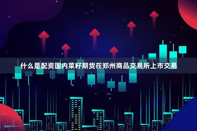 什么是配资国内菜籽期货在郑州商品交易所上市交易